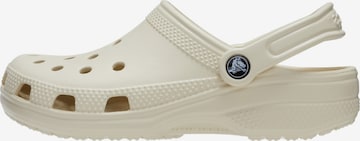 Clogs di Crocs in bianco: frontale
