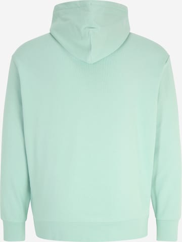 Calvin Klein Big & Tall Sweatshirt in Green