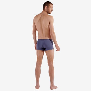 HOM Boxer shorts in Purple