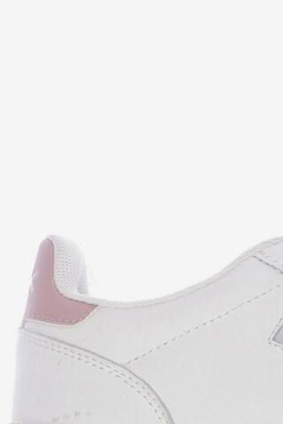 BRITISH KNIGHTS Sneakers & Trainers in 36 in White