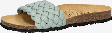 LICO Muiltjes 'Bioline Plait' in Blauw: voorkant