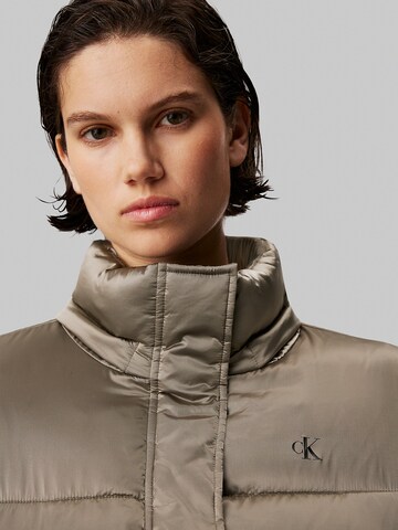 Veste d’hiver Calvin Klein Jeans en marron