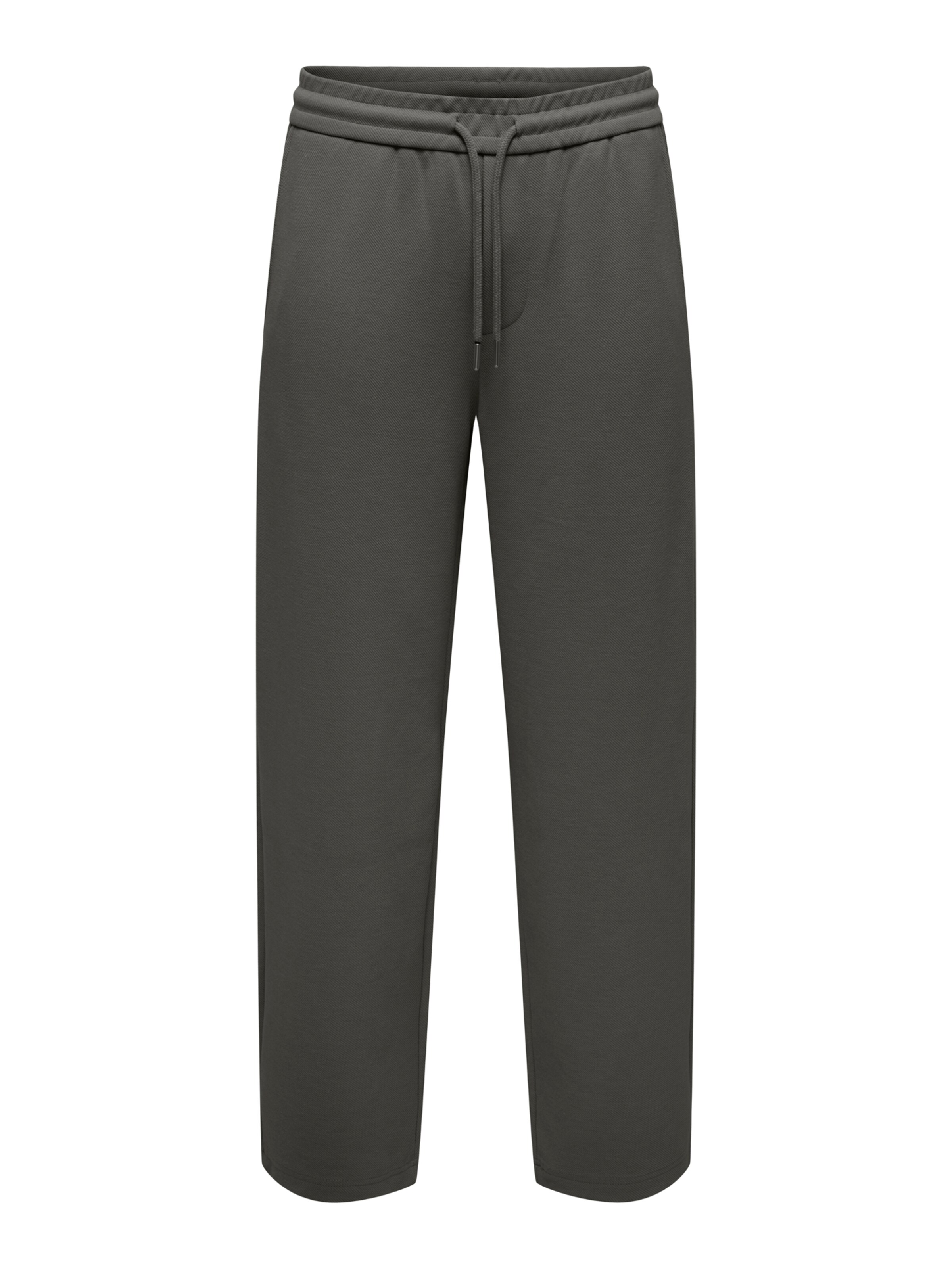 Only & Sons Loose fit Pants 'ONSNEWKODYL' in Grey: front