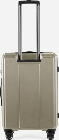 Trolley 'Pop 6.0' di Epic in beige