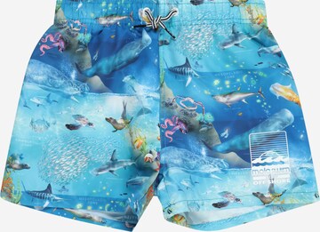 Shorts de bain 'Niko' Molo en bleu : devant