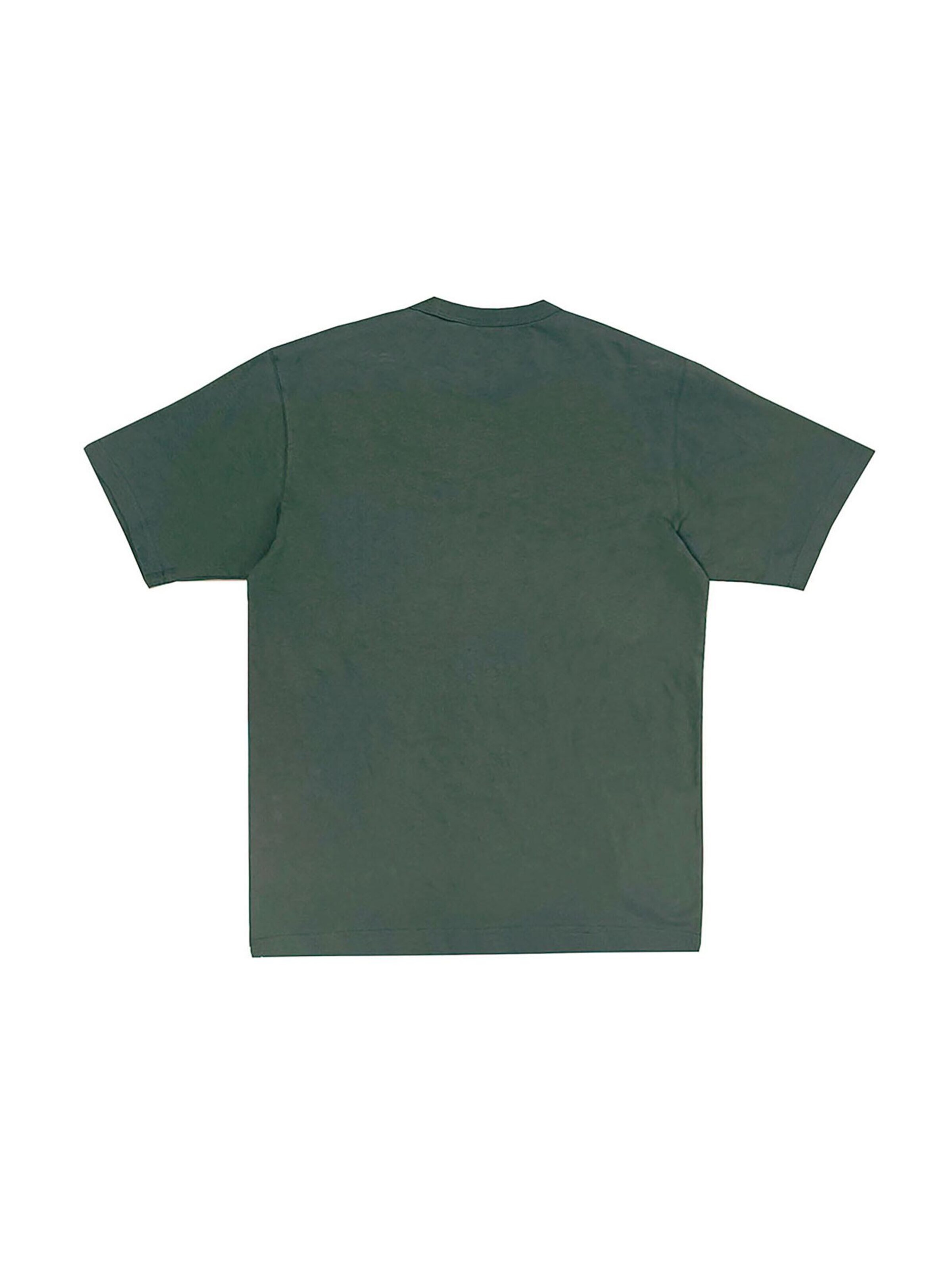 DICKIES Shirt 'Aitkin'‌‌ in Grün