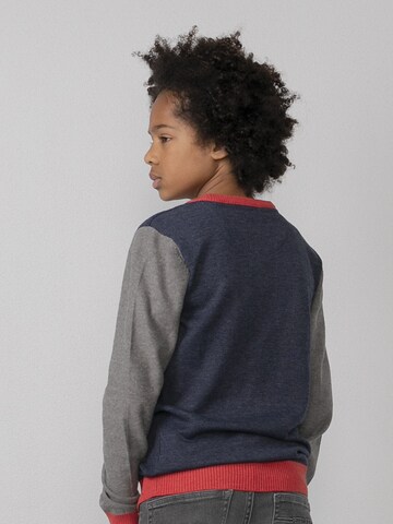 Petrol Industries Sweater in Blue