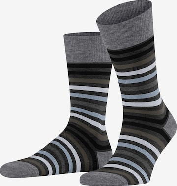 FALKE Socken 'Tinted Stripe' in Schwarz: Vorderseite