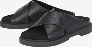 Apple of Eden Mules ' PRIM ' in Black