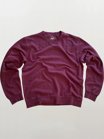 A Question Of (AQO) Sweatshirt 'Johannes' in Lila: voorkant