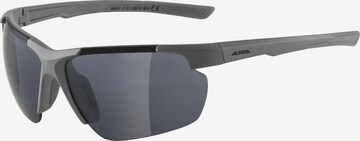 Alpina Sports Sunglasses 'DEFEY HR' in Grey: front