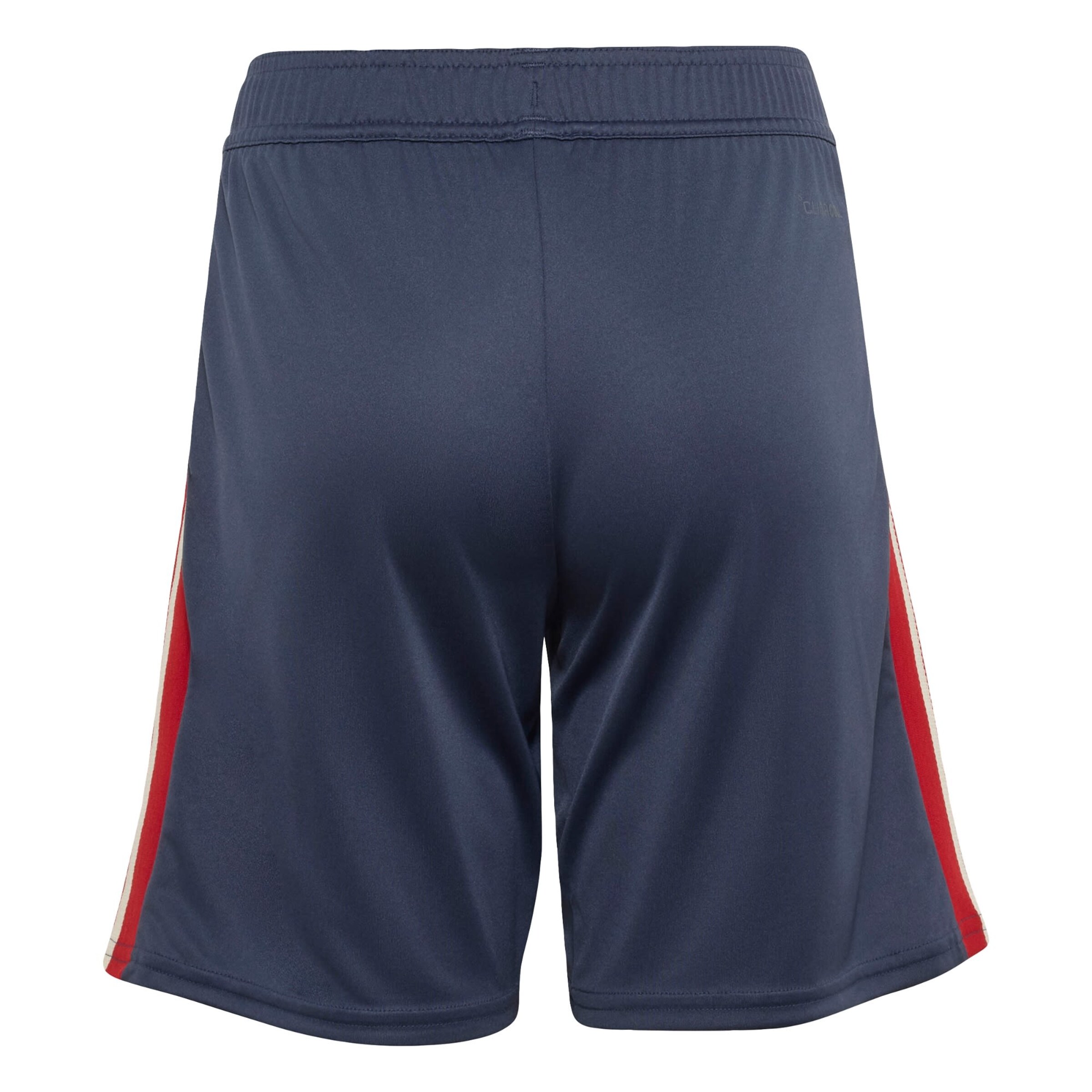 ADIDAS PERFORMANCE Slimfit Sportbroek 'France' in Blauw