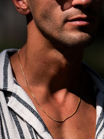 Eternal Necklace 'Snake' in Gold