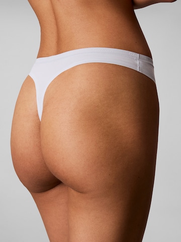 Calvin Klein Underwear Thong in Blue
