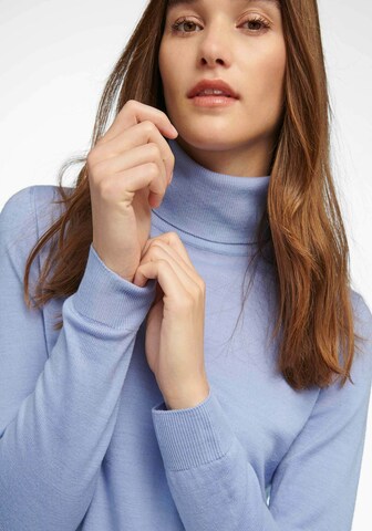 Peter Hahn Pullover in Blau