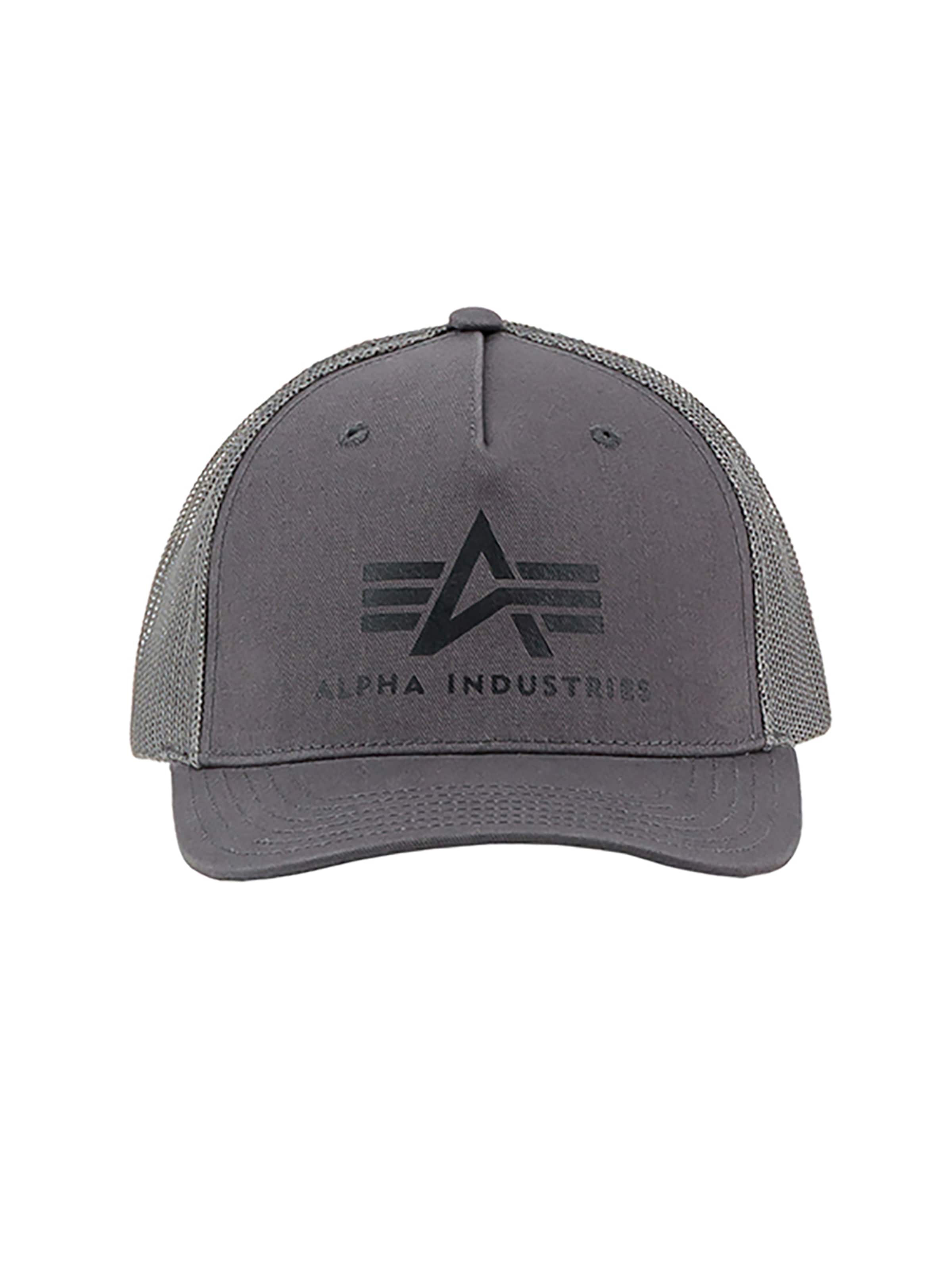 ALPHA INDUSTRIES Cap 'Basic'‌‌‌‌‌ in Grau: Vorderseite
