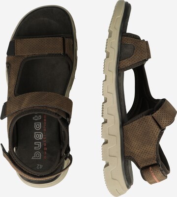 bugatti Sandals 'Creek' in Brown