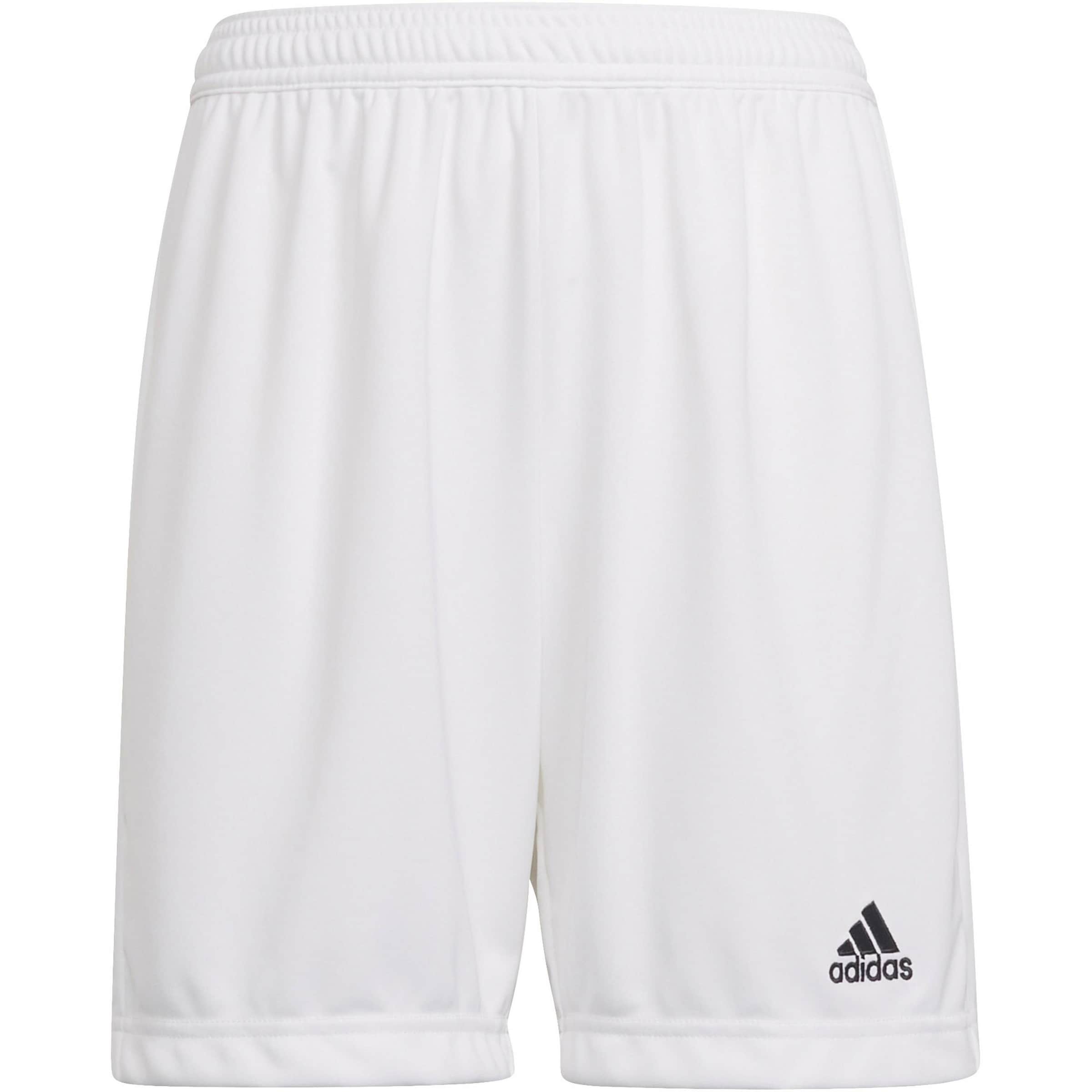 ADIDAS PERFORMANCE - Pantalón deportivo 'Entrada 22' en blanco: frente