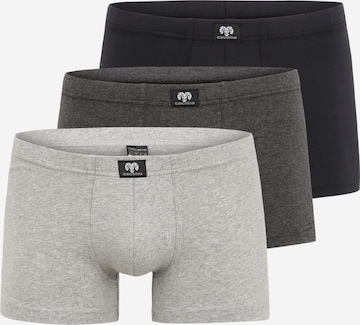 CECEBA Boxer shorts in Grey: front