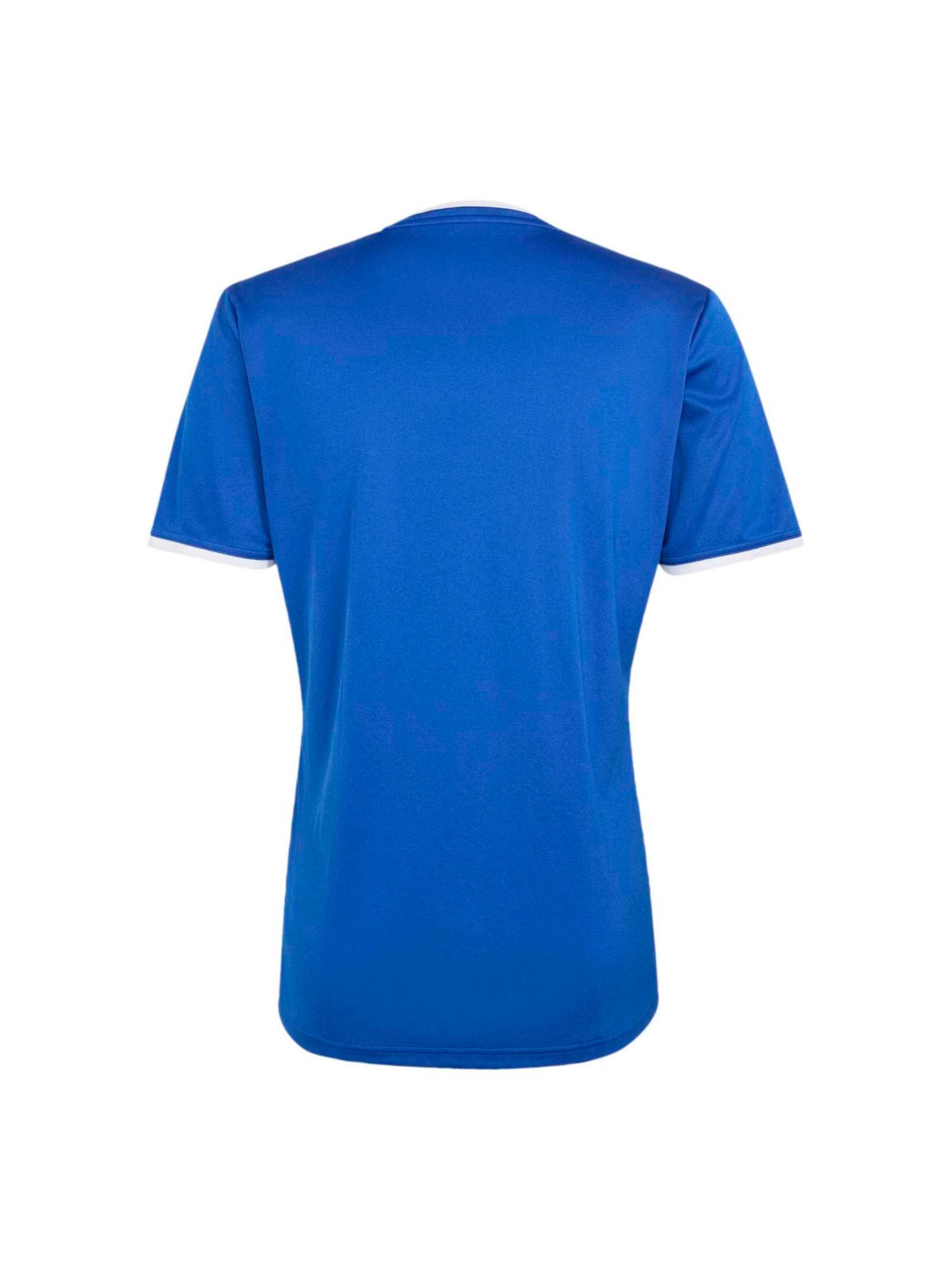 ADIDAS PERFORMANCE Λειτουργικό μπλουζάκι 'ENT26' σε μπλε