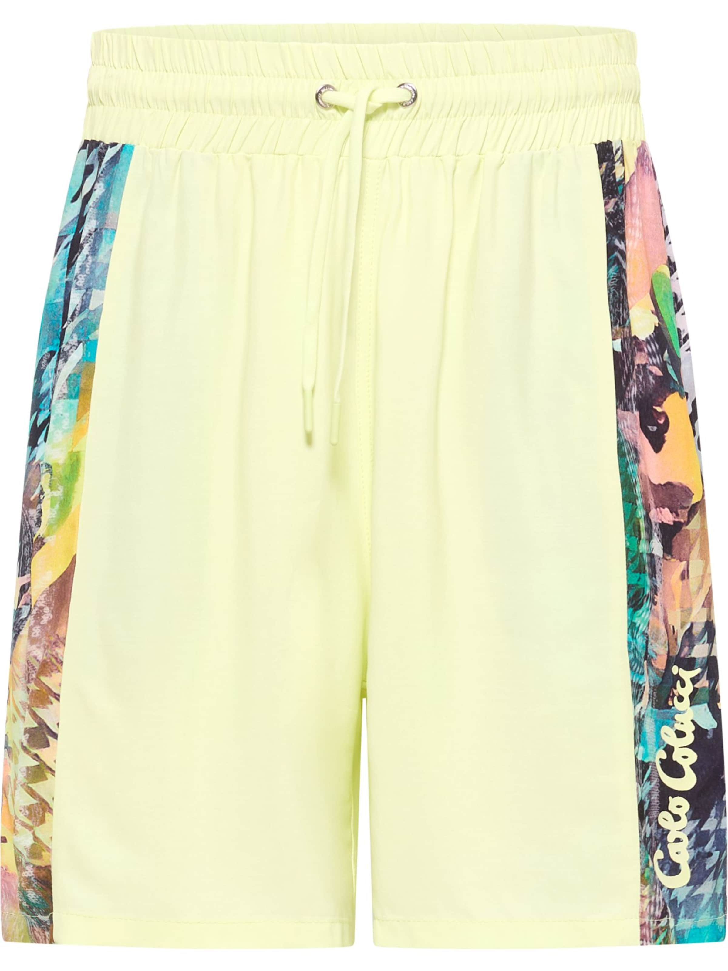 Pantalon 'Feil' Carlo Colucci en vert : devant