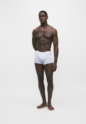 Tommy Hilfiger Underwear Boxer shorts in Blue