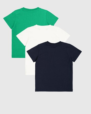 Champion Authentic Athletic Apparel Shirt in Blue