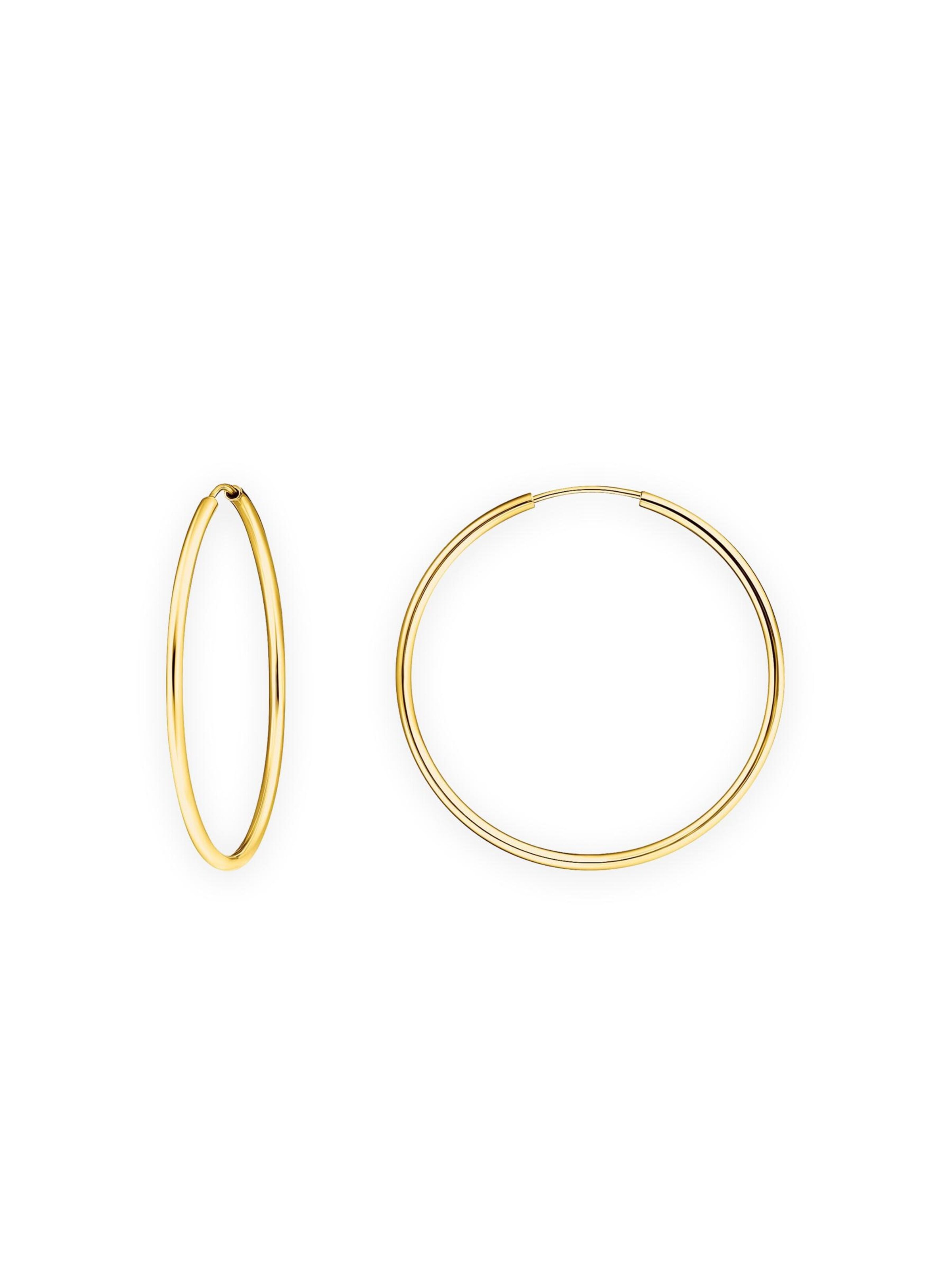 Thomas Sabo Earrings in Gold: front