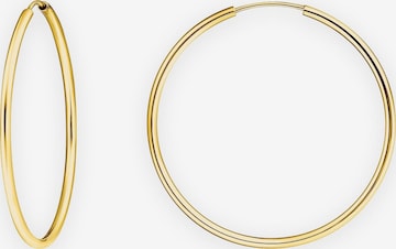 Thomas Sabo Earrings in Gold: front