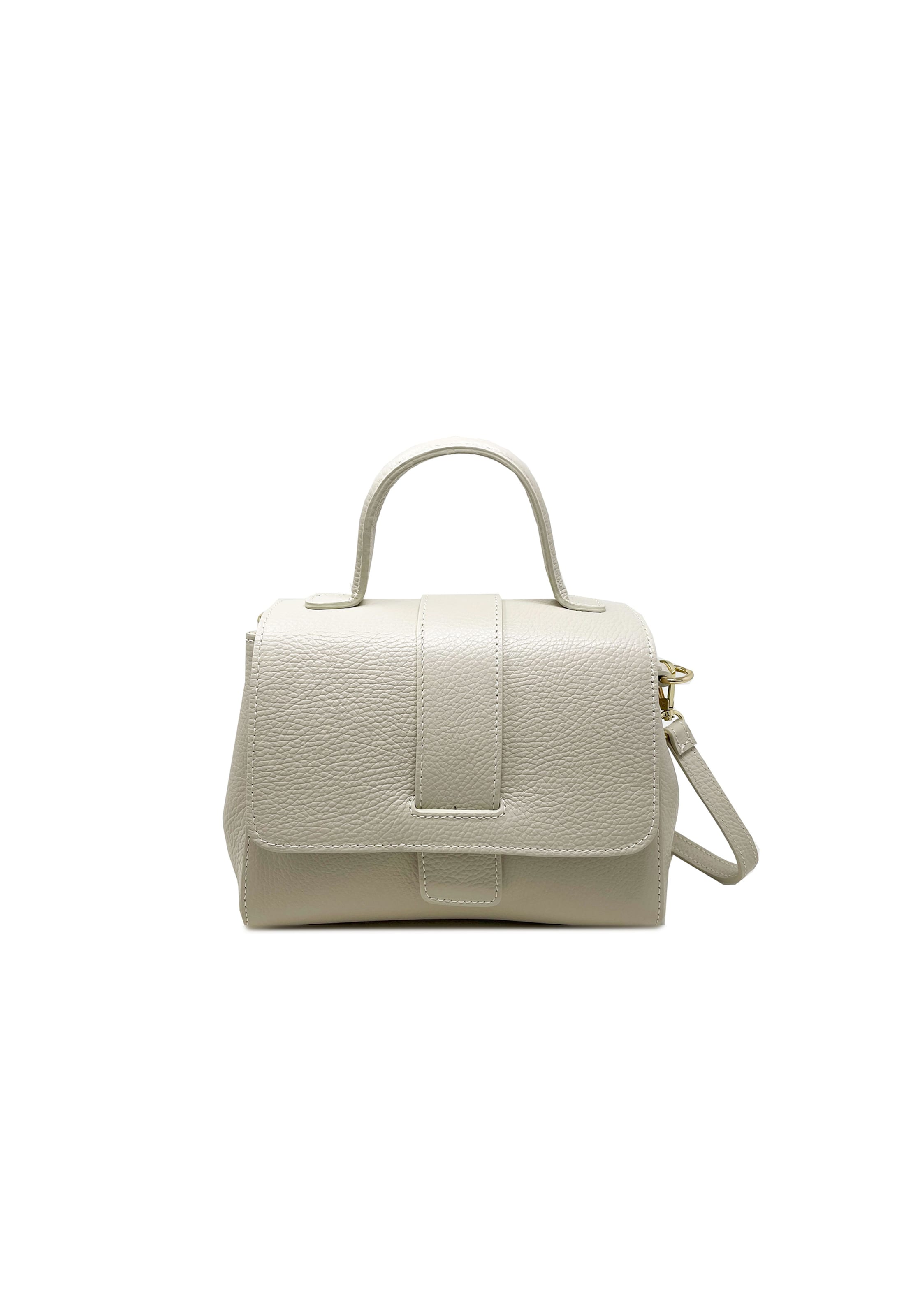 CHICCA BORSE Handbag in Beige: front