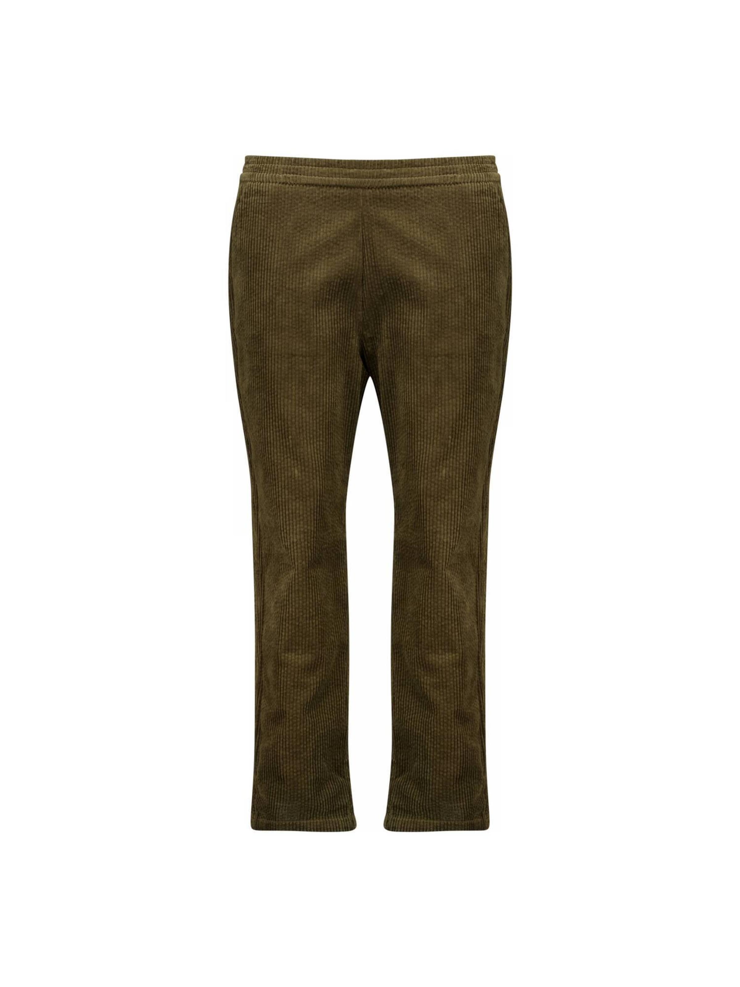 Deeluxe Regular Pants 'TAMYLY' in Green: front