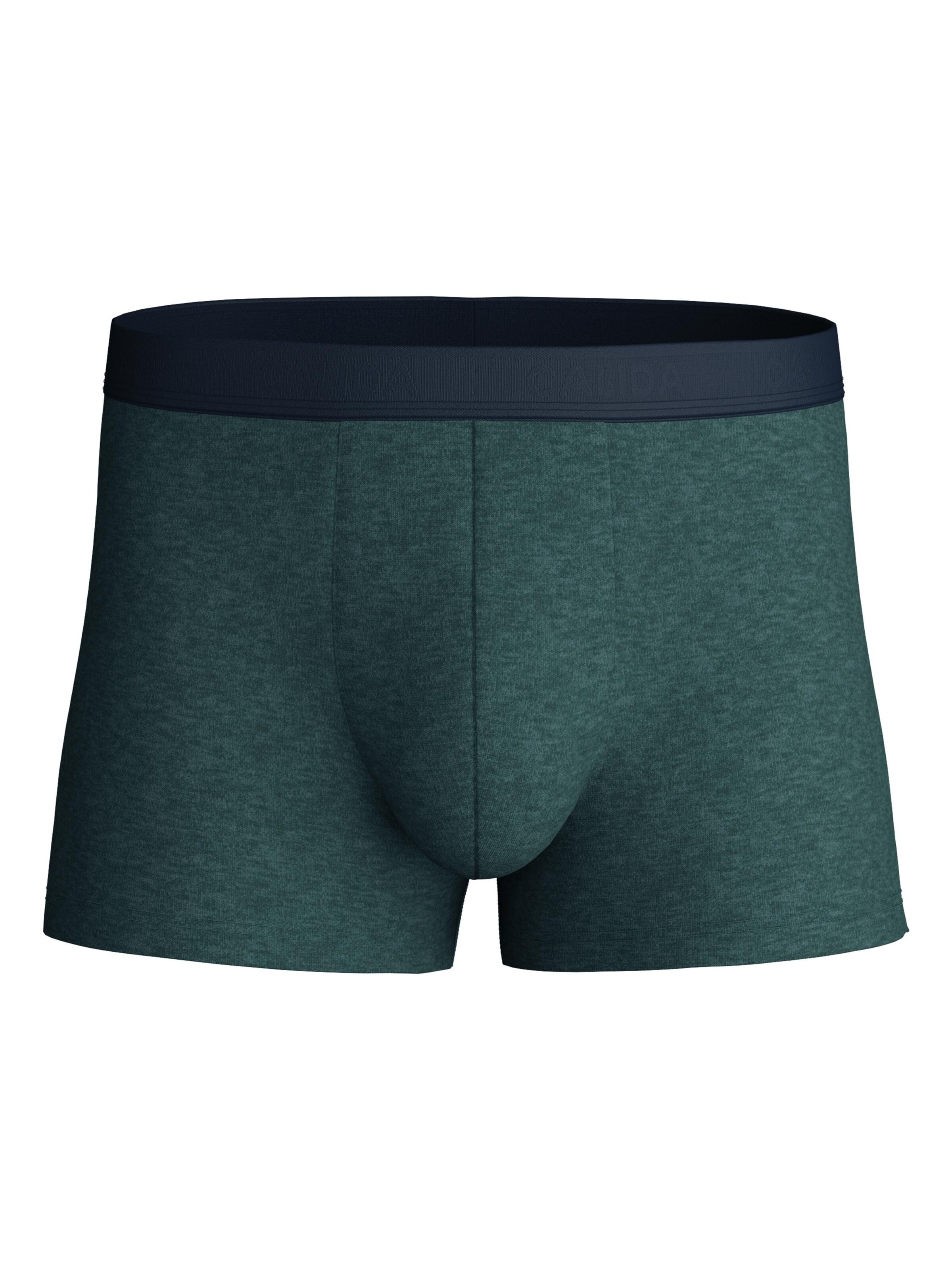 CALIDA Boxer shorts 'Cotton Sporty' in L in Jade, Item view