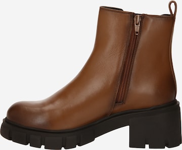 TOM TAILOR - Botas chelsea em castanho