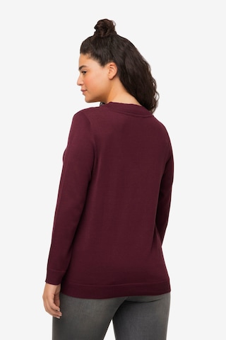 Ulla Popken Pullover in Braun