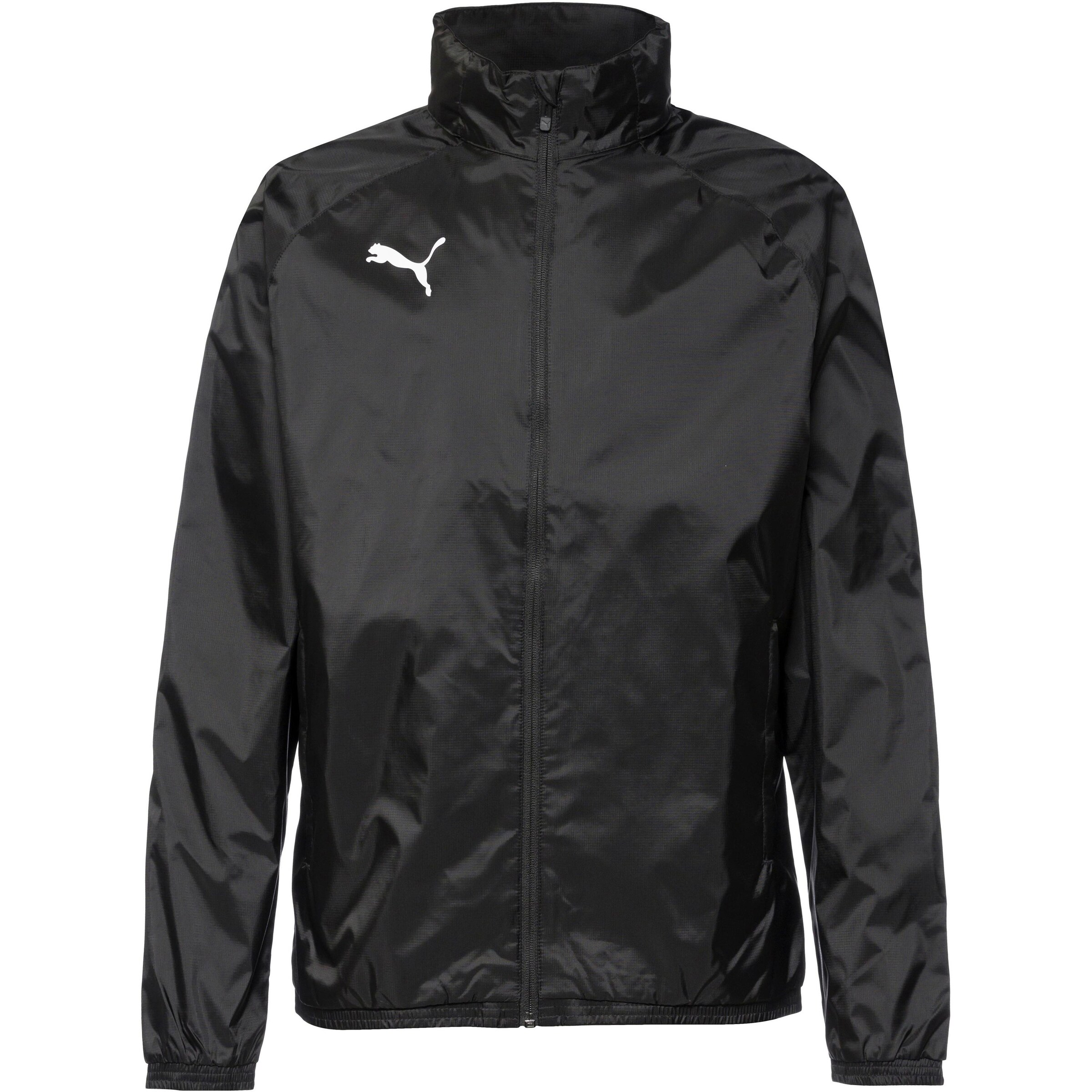 PUMA Athletic Jacket 'TeamGOAL' in Black: front