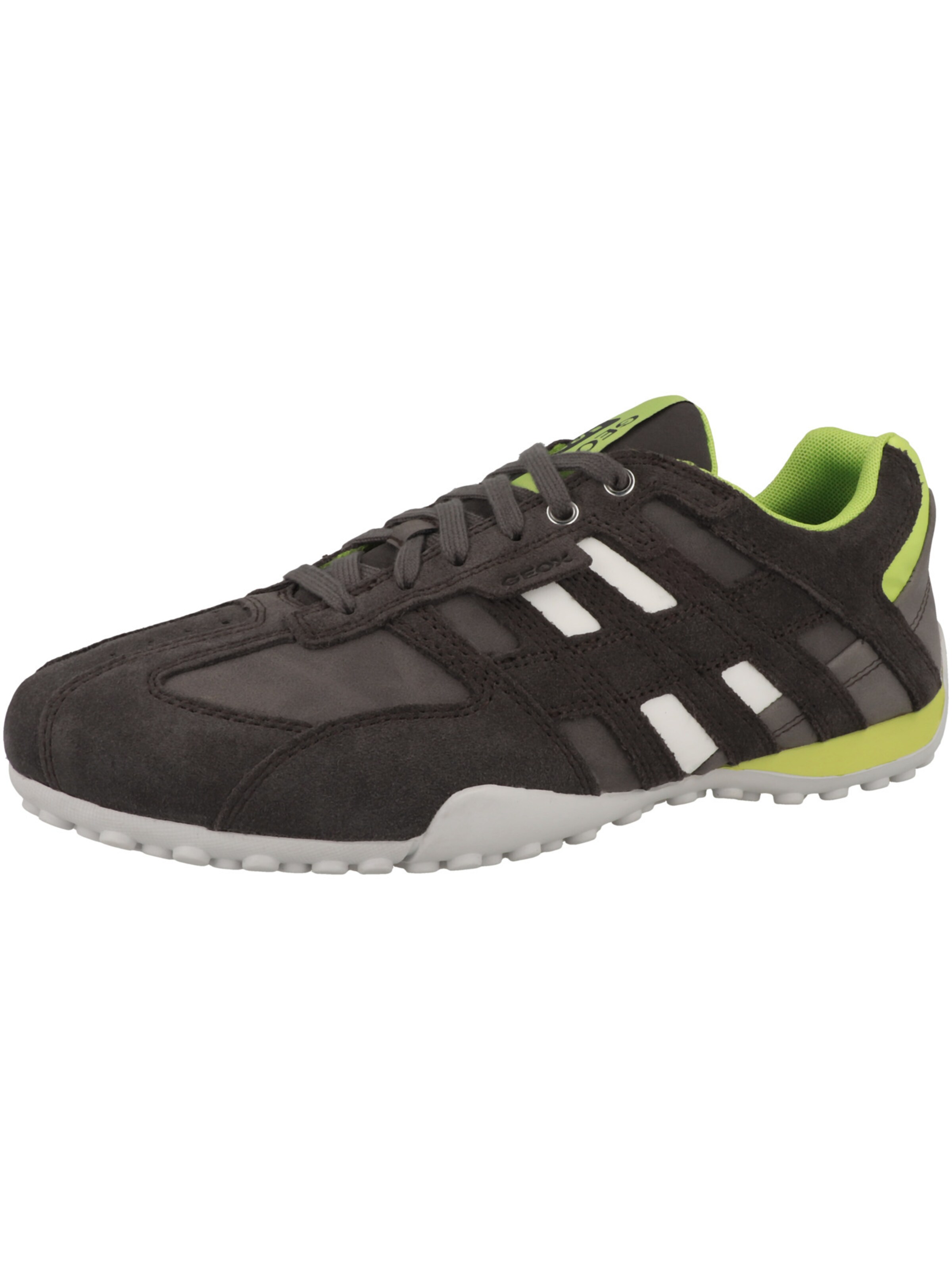 GEOX - Sapatilhas baixas em cinzento: frente