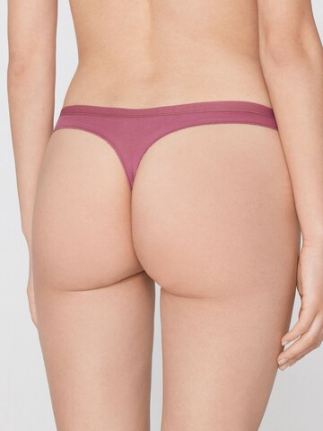 Tezenis Thong in Pink