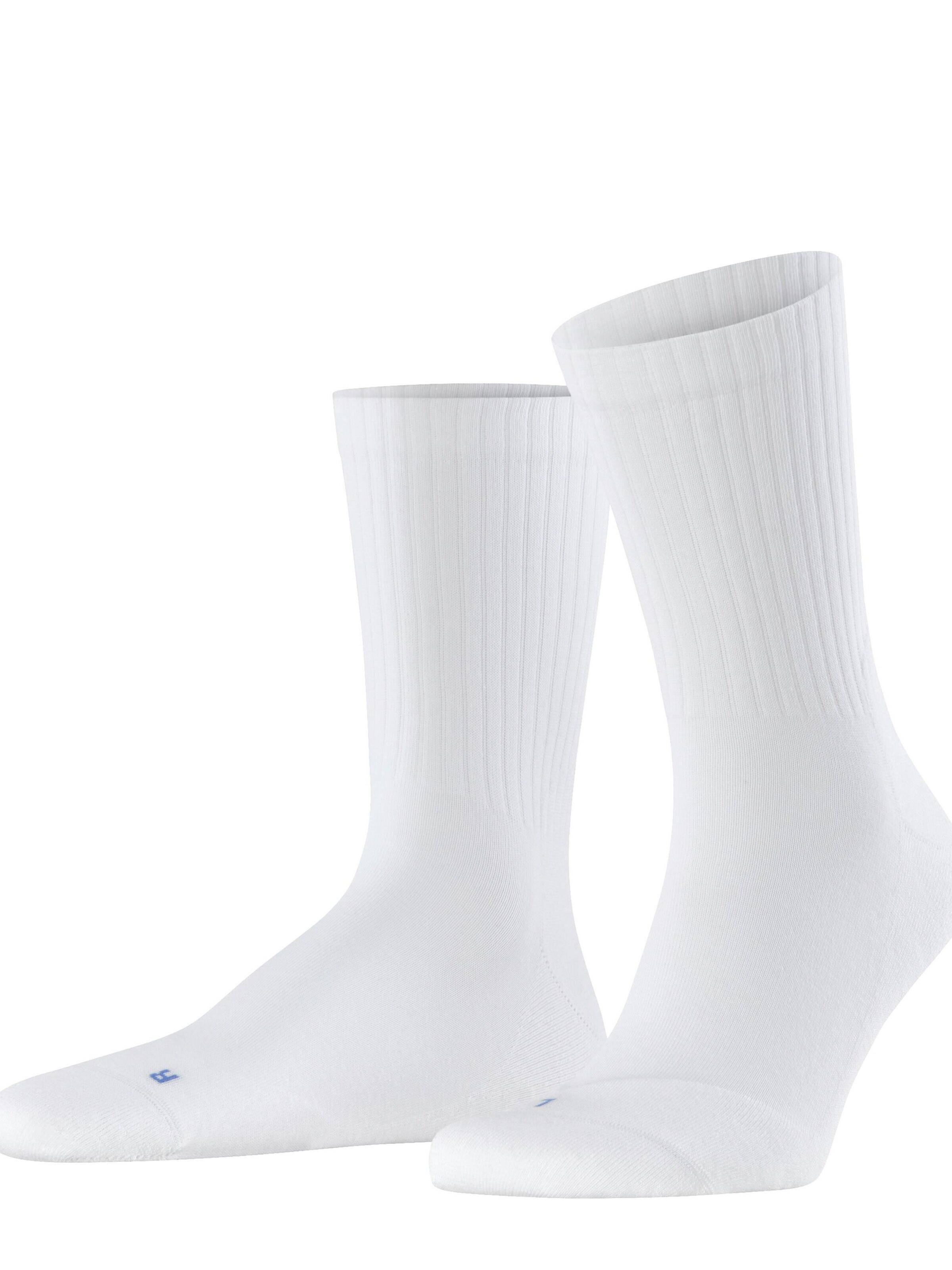 FALKE Socks 'Run Rib Crew' in White: front