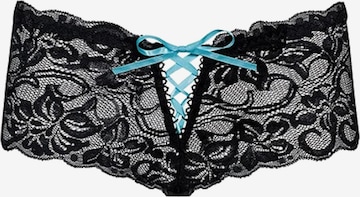 Obsessive Boyshorts 'Bloom Shorts' in Black: front