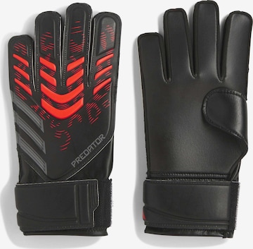 ADIDAS SPORTSWEAR Sporthandschoenen in Zwart: voorkant