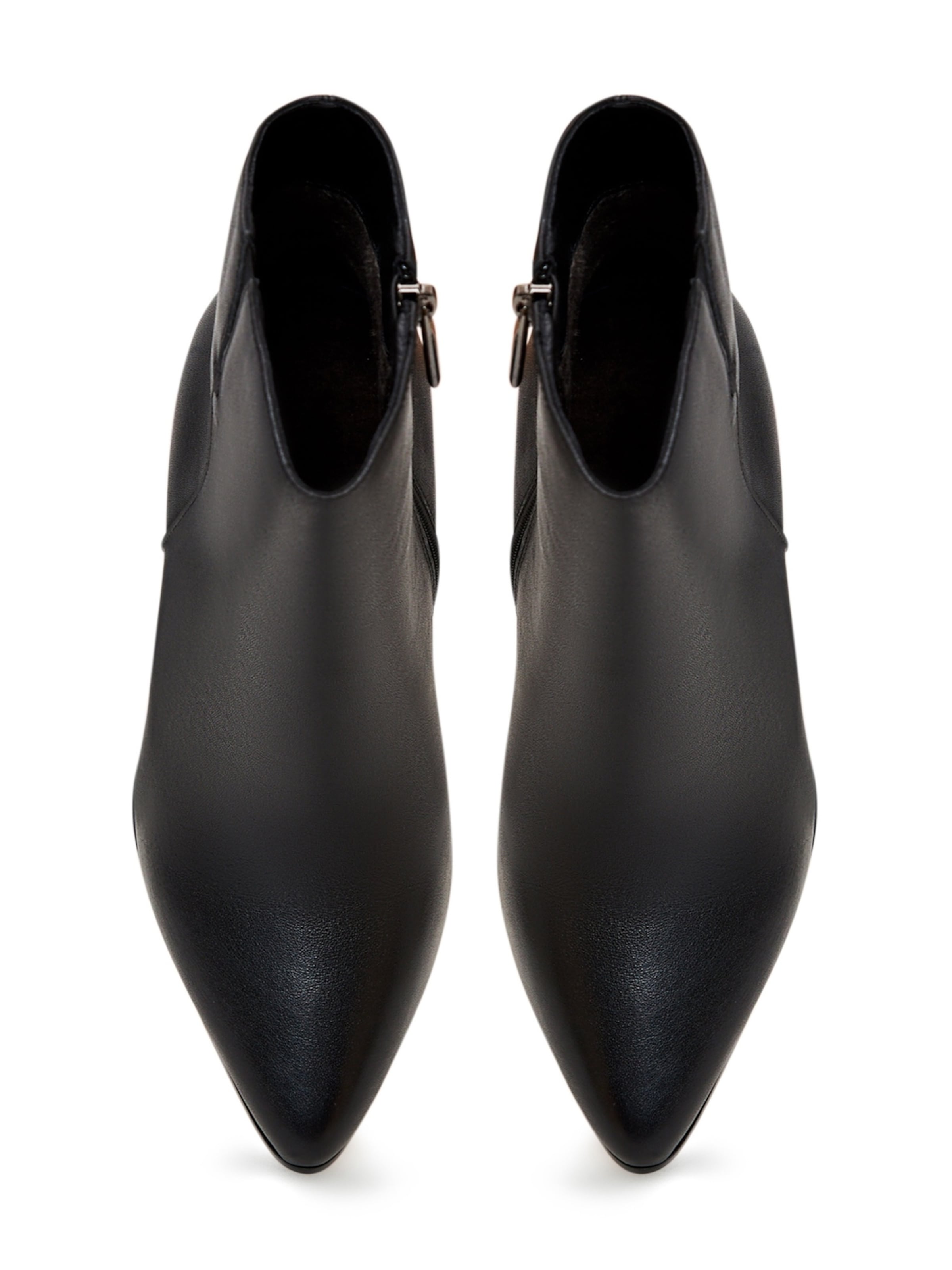 CESARE GASPARI Ankle Boots in Schwarz