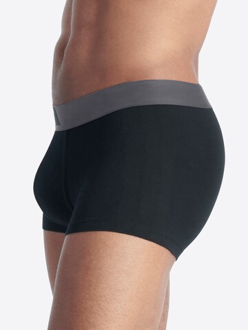 Boxers ' Active Flex Cotton Body ' ADIDAS SPORTSWEAR en mélange de couleurs