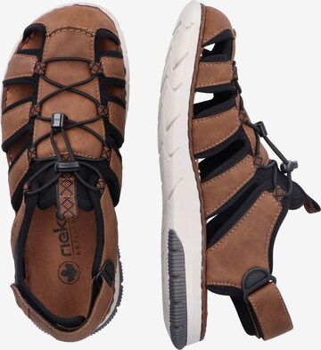 Rieker Hiking Sandals in Brown