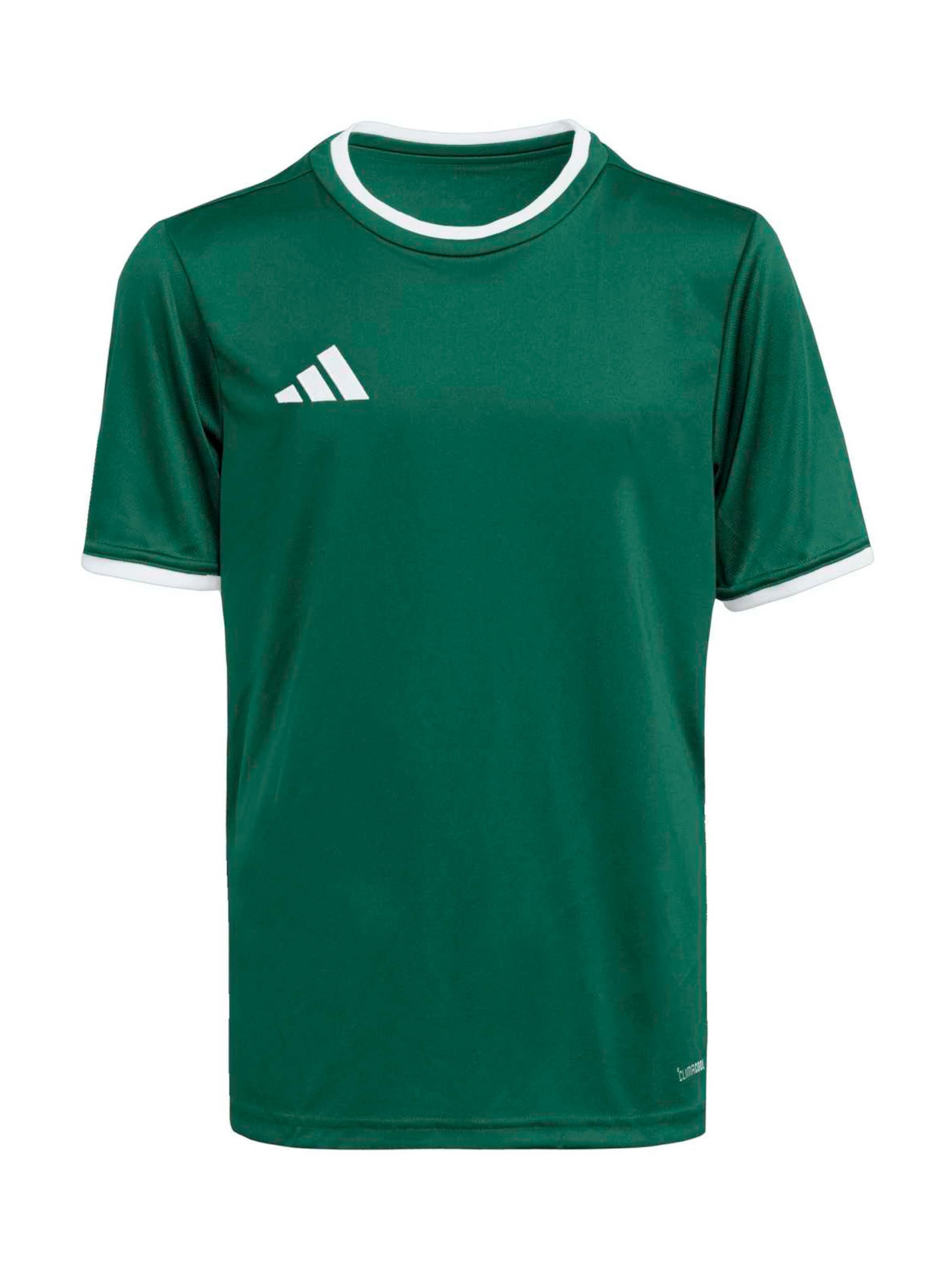 Tricou funcțional 'ENT26' de la ADIDAS PERFORMANCE pe verde: față