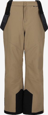 Whistler Workout Pants 'Drizzle' in Brown: front