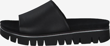 GABOR Mules in Black