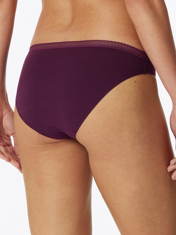 SCHIESSER Panty ' Cotton Lace ' in Purple