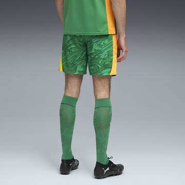 Regular Pantalon de sport 'Borussia Dortmund 25/26' PUMA en vert