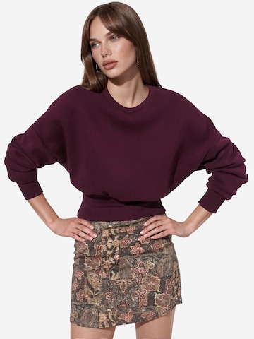 Busem Sweatshirt 'Sweatshirts'‌ in Rot: Vorderseite
