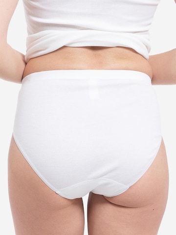 SPEIDEL Slip 'bio.cotton Sport Edition' in Wit